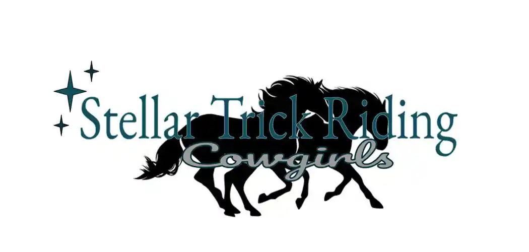 Big Bucks Pro Rodeo 