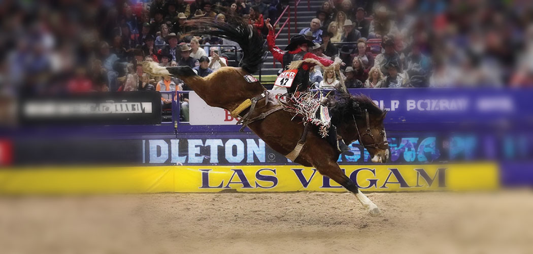 Big Bucks Pro Rodeo 