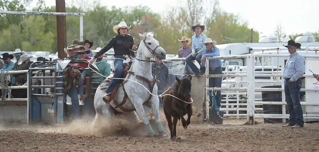 Colorado State High School Rodeo Association 