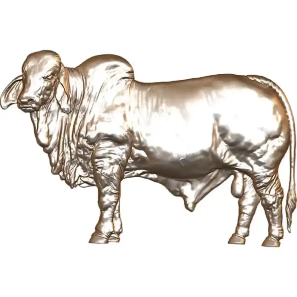 Brahma Bull