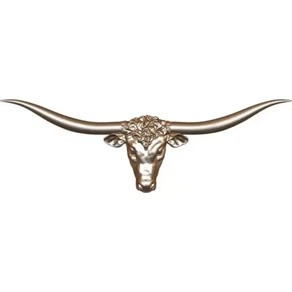 Longhorn Steer