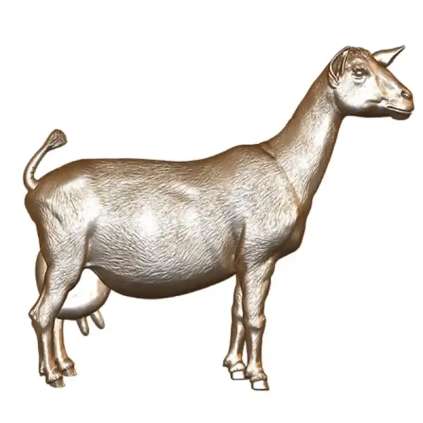 Dairy Goat