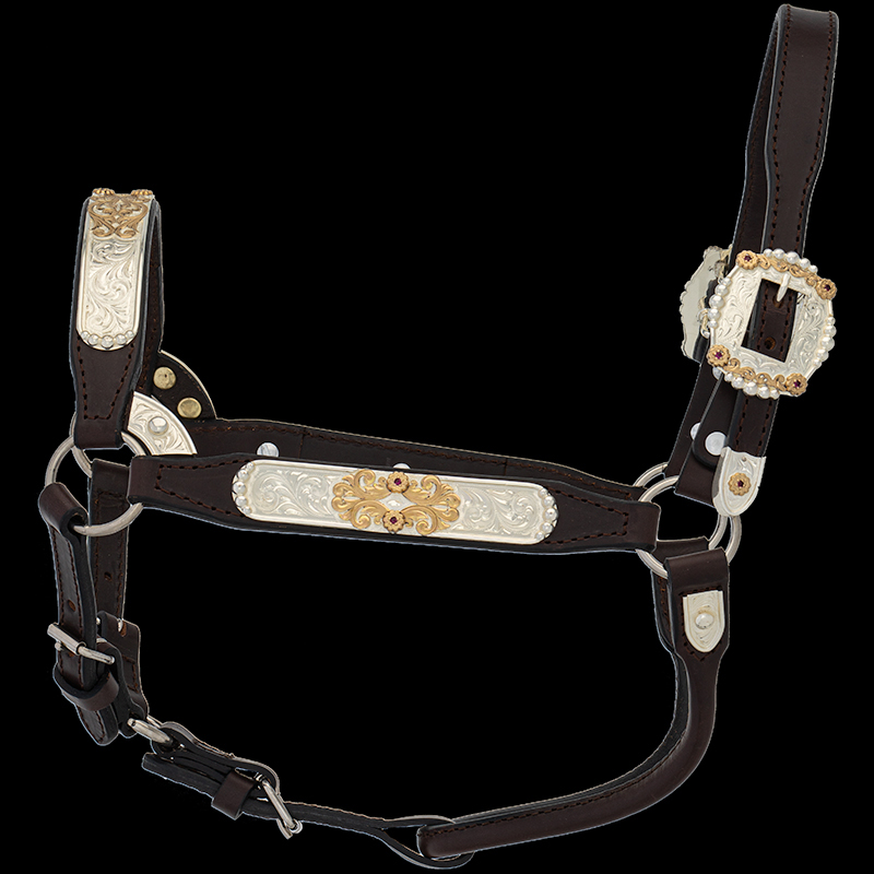 A leather horse halter with monogrammed details, sterling silver materials and golden scrolls