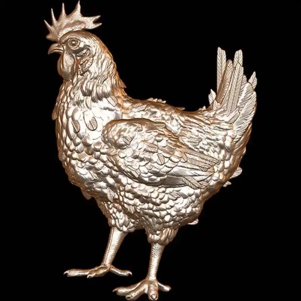 Broiler Chicken