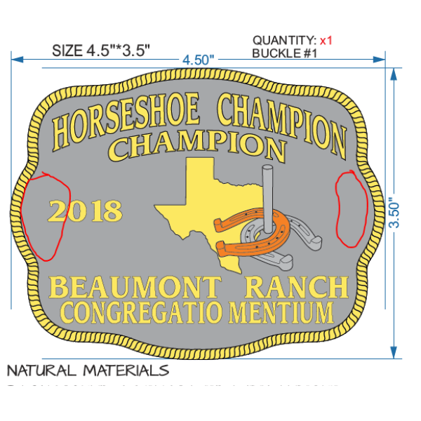 In-Stock Sample Buckle